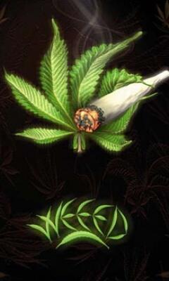 S.W.A.G
