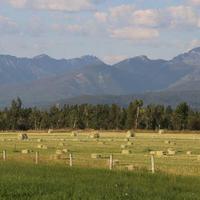 Owen Gue (@owengue) 's Twitter Profile