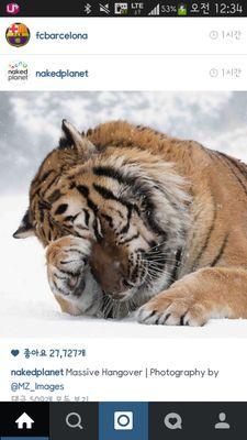 nomuaa's profile picture. 모든 사람이 법앞에 평등하길 바란다