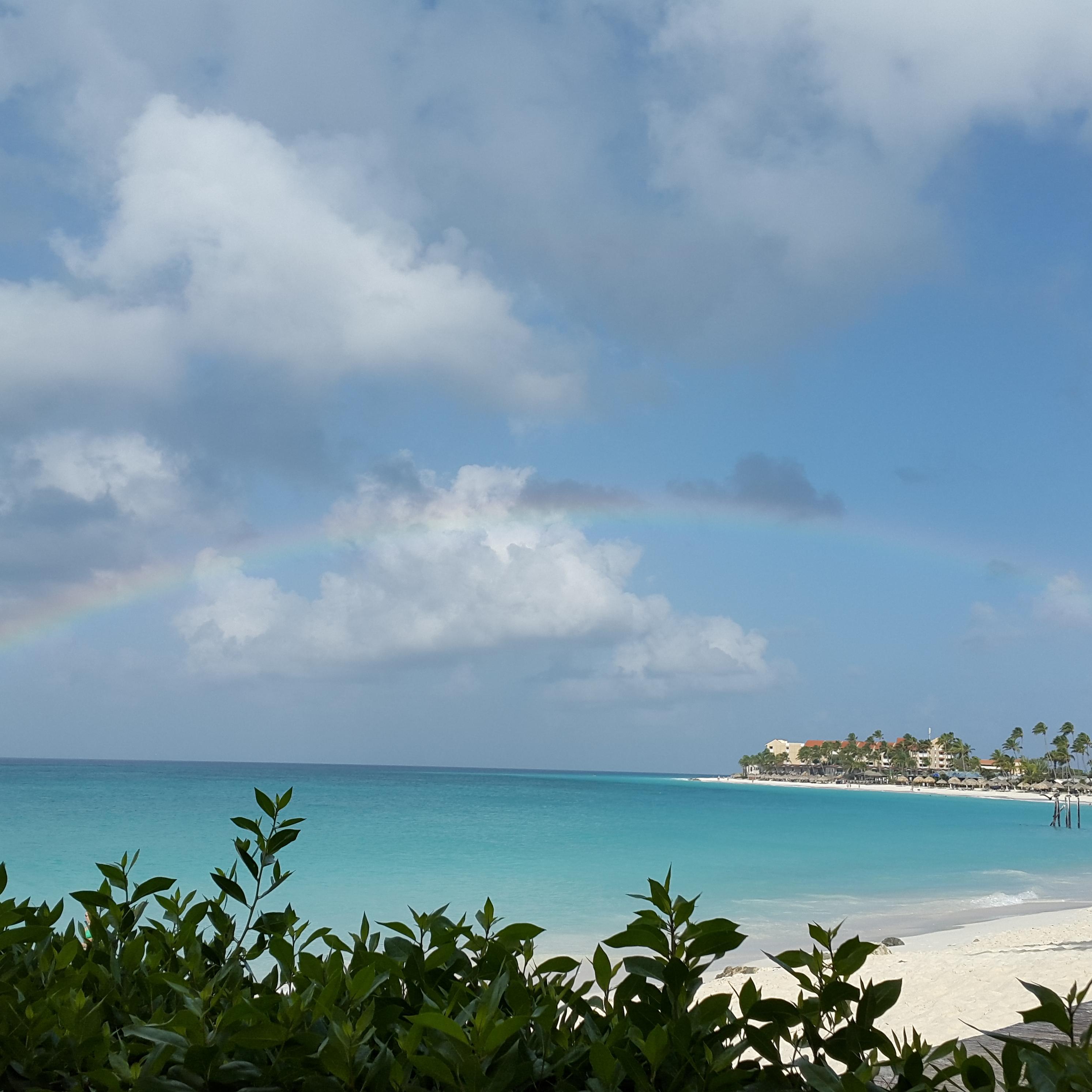 arubamiriam's profile picture. 