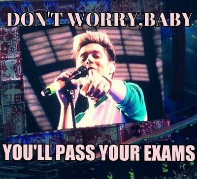 rosalov83779640's profile picture. 