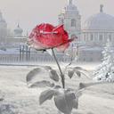 Ann Chaney Seith - @tazisann - Twitter