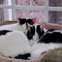 Kathy Strom - @klshappy - Twitter