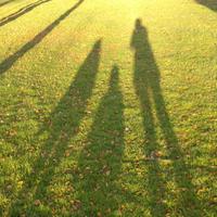 Dr Sara Hannafin (@hannafins) 's Twitter Profile