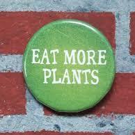 7madcats's profile picture. Ethical vegan, fighting against all non human animal exploitation & abuse. horticulturalist #vegan#heavyrockmusic#countryside#wildflowers