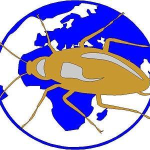 AFRIDESPLAGAS's profile picture. Técnicos en control de plagas de Alicante y con personal con MAS DE 20 AÑOS DE EXPERIENCIA en el sector. 965.111.005 / 629.666.225