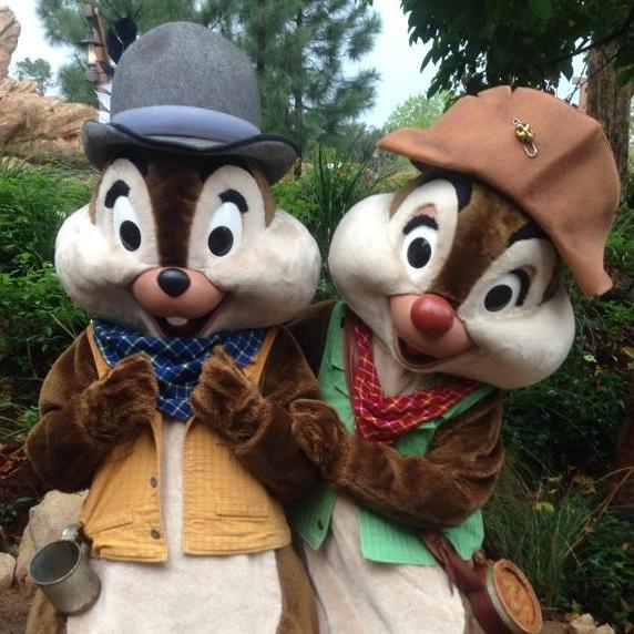 ディズニーの情報がほしくてツイッターはじめました！栗鼠が好きな主婦。チップ＆デールを追いかけます！