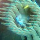 francesca perry - @WanderingZingar - Twitter