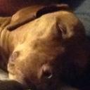 CAROLINE MORROW - @retnepraC4465 - Twitter