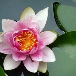 fc655351's profile picture. 