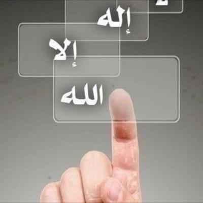 aboghala8 Profile Picture