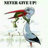 NelvinedithN's profile picture. 