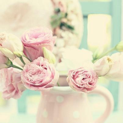 AussieGritmuhe's profile picture. instagram Perm