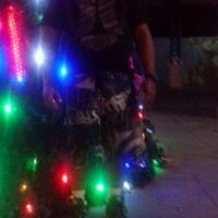 Frasisco Carvajal (@frasiscocarvaj1) 's Twitter Profile