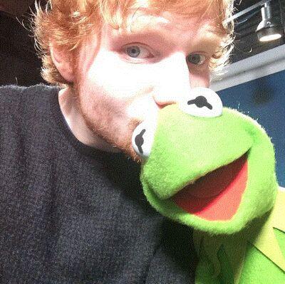 Hugo Weasley, fils d'Hermione et Ron Weasley•5eme année•Gryffondor• Possède des pouvoirs• Rêve secrètement d'être un Serpentard