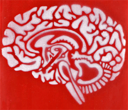 Schlaganfall's profile picture. Imedo.de - Wir helfen Menschen