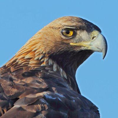 dynm_209's profile picture. “ATATÜRK’ü sevmeyen adamla ahbaplık edemem!”

Ölmeden önce ölün,
Mahşer olmadan hesabı görün..
Zulüm varsa; isyanda haktır...