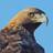 dynm_209's profile image