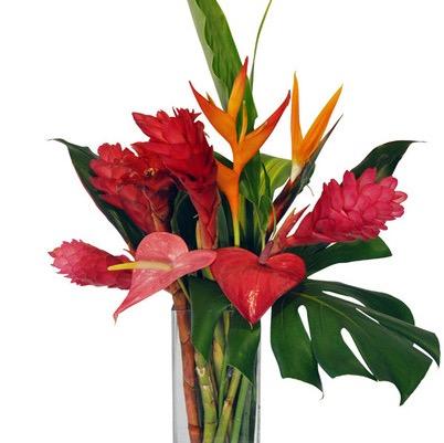 We ship Hawaiian Flowers and fresh Leis from Hawaii anywhere in the US within 2 business days. Freshness guaranteed. Let us send some Aloha to your Doorstep!