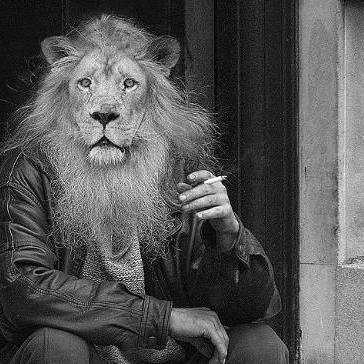 vladviodrasc's profile picture. I got the no pussy blues.