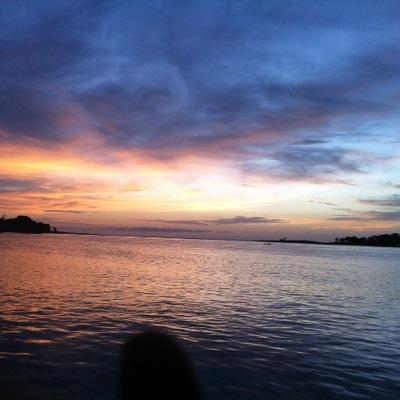 MusaShannon's profile picture. 