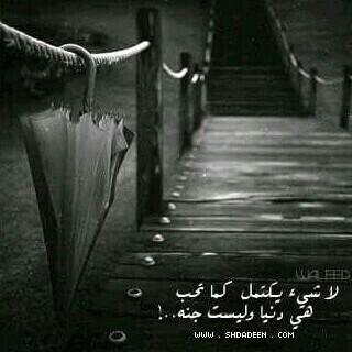 فهد