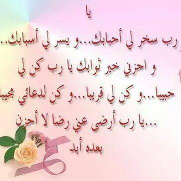 mohamedkarim264's profile picture. 