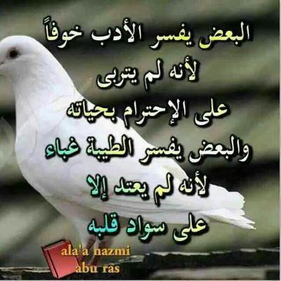 ‏علي اركان