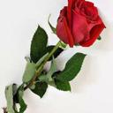 NOEMY (@00_692) Twitter