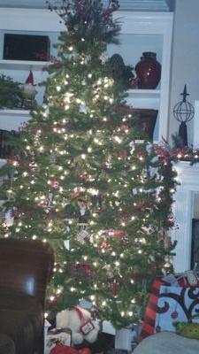 557_678's profile picture. 