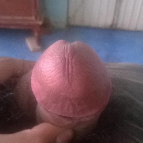 Busco novia para q me la mame quien se apunta
