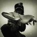 River Piker (@marshman39) Twitter profile photo