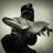 marshman39's profile image