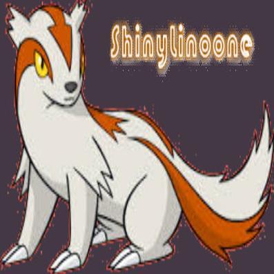 ShinyLinoone's profile picture. hai Im Shiny Linoone and I like to get a berry for u,Im good at picking things up,if u need something I'll try to find one. my bro ShinyCroagunk follow him too.