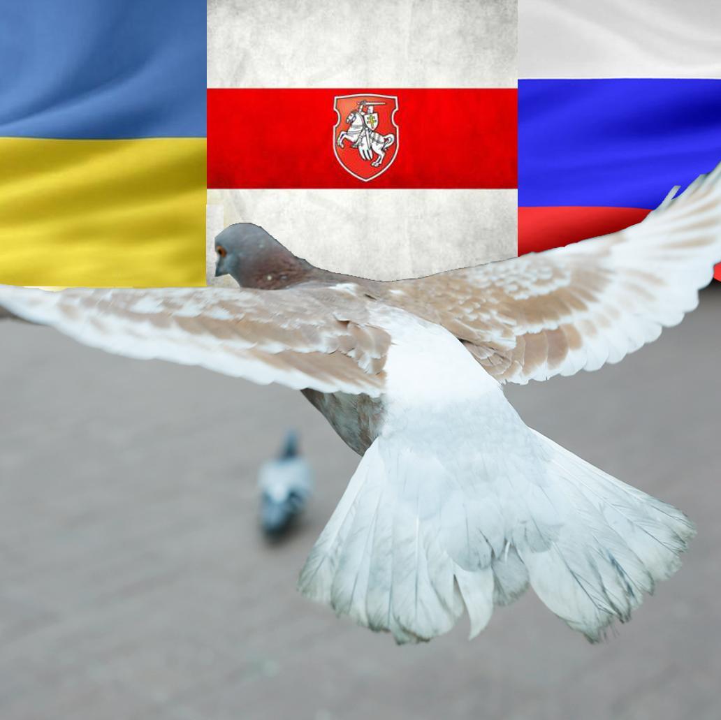 По национальности - белорус, по паспорту - россиянин, сердцем - украинец. Я - честный человек, поэтому мои кандидаты всегда проигрывают шулерские выборы...