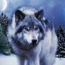 Mandy Wolf - @MandyWolfBlood - Twitter