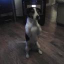 Alyson Howe - @HoweAlyson - Twitter