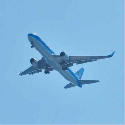 Aviation Consultancy
