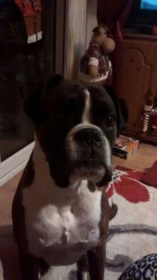 Niven1Mark's profile picture. 