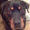 Charlie Kay Berg - @CharlieKayBerg1 - Twitter