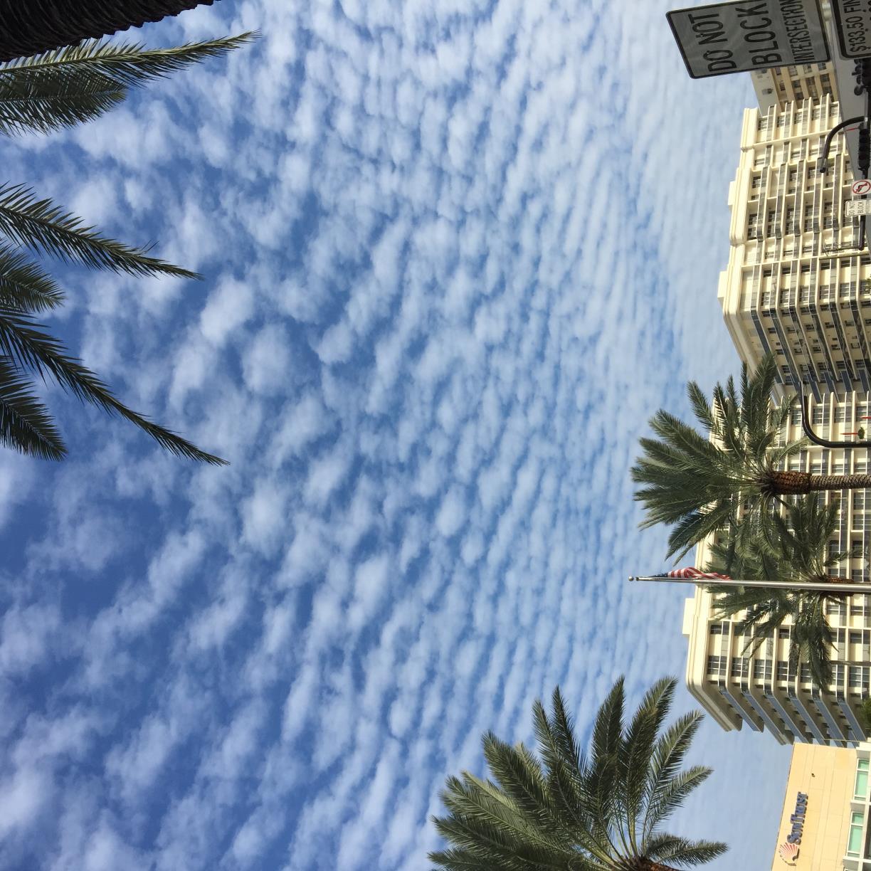 gexcelUSA4u's profile picture. 