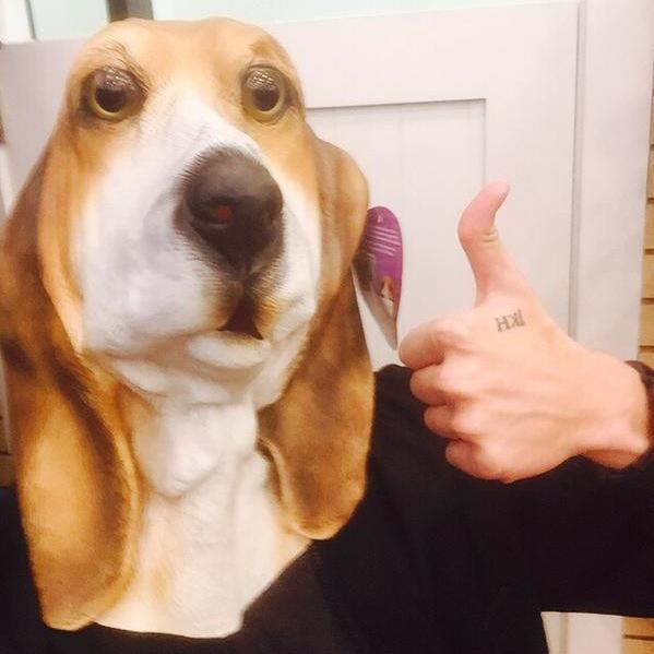 puppy5S0S's profile picture. my camera roll consists of puppies and 5SOS. that is all.