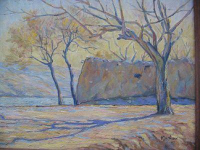 MirwaniRiaz's profile picture. 