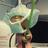 butlerwrites's profile image