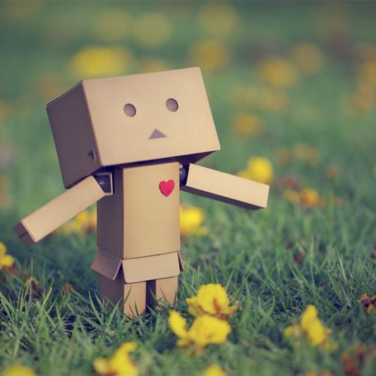 BengisuPayc's profile picture. 