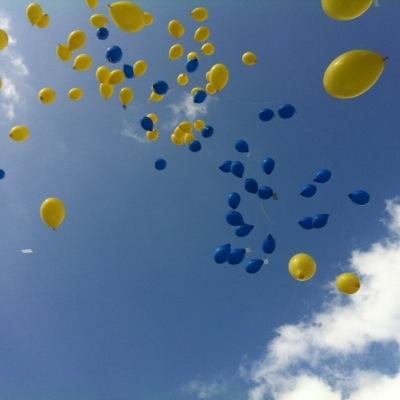 NClarisse's profile picture. 