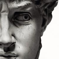 molecol (@molecol) 's Twitter Profile