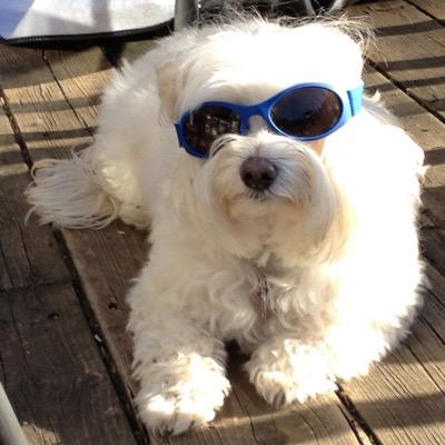 BruceWood52's profile image