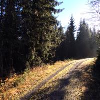 Eivind Vesterkjær (@eivindves) 's Twitter Profile