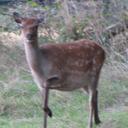 Susannah Barlow - @susannahba1 - Twitter